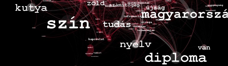 seo szakember kontakt